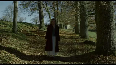 维奥莱特（字幕组wx公众号 亿万同人字幕组）