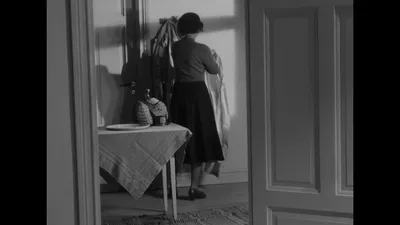 风信子女郎（字幕组wx公众号 亿万同人字幕组）