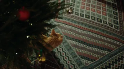 妮莉（字幕组wx公众号 亿万同人字幕组）