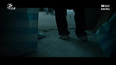 蝴蝶（字幕组wx公众号 亿万同人字幕组）