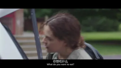 情-歌.love song.1080P（小体积）.中英双语