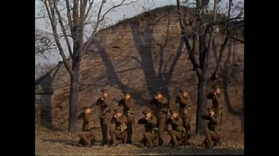 博士小姐（字幕组微信公众号 亿万同人字幕组）