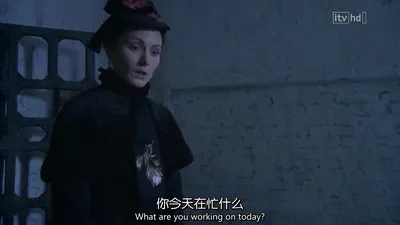 灵Q（字幕组wx公众号 亿万同人字幕组）